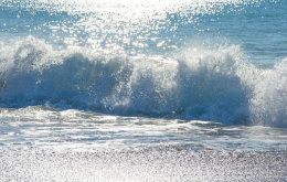 NEWSLETTER Ocean