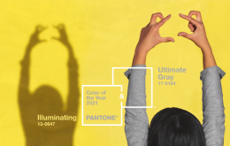 NEWSLETTER Pantone