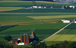 NEWSLETTER farm